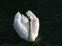 Beispielbild 2