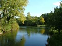 Beispielbild 8