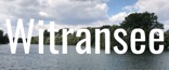 Logo: Witransee